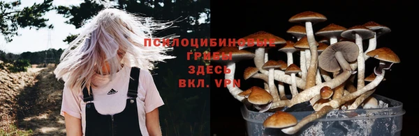 спиды Армянск