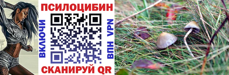 Галлюциногенные грибы ЛСД  Райчихинск 
